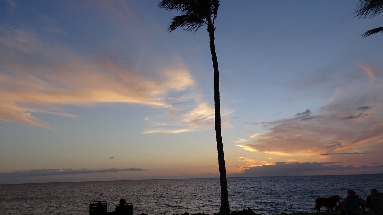 Photo of Others in Kihei