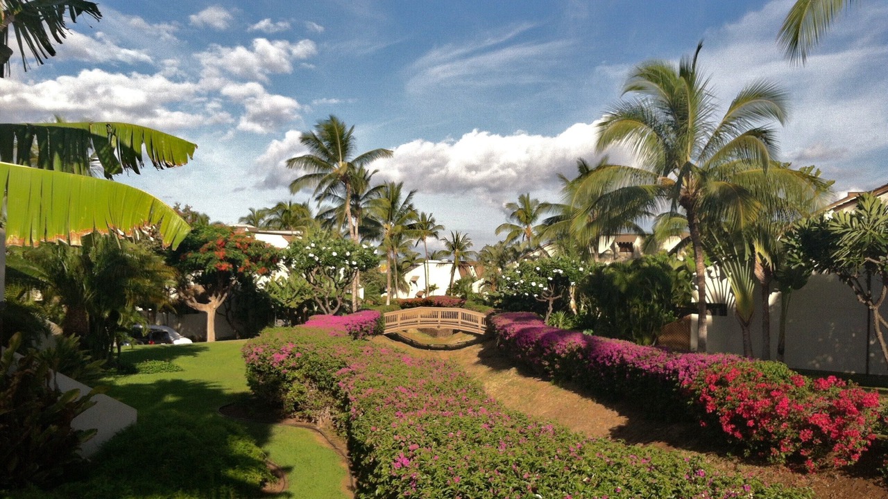 Photo of Others in Kihei
