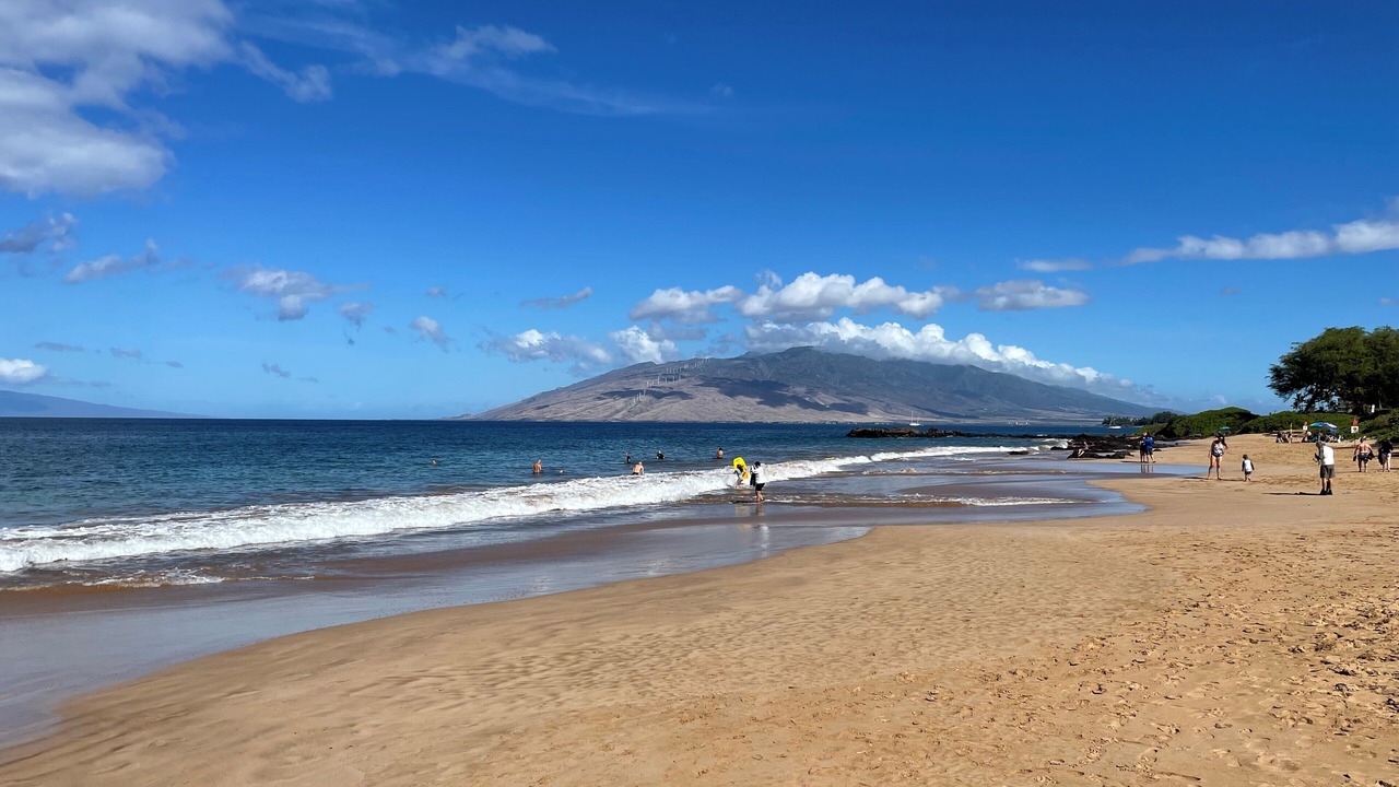 Photo of Others in Kihei