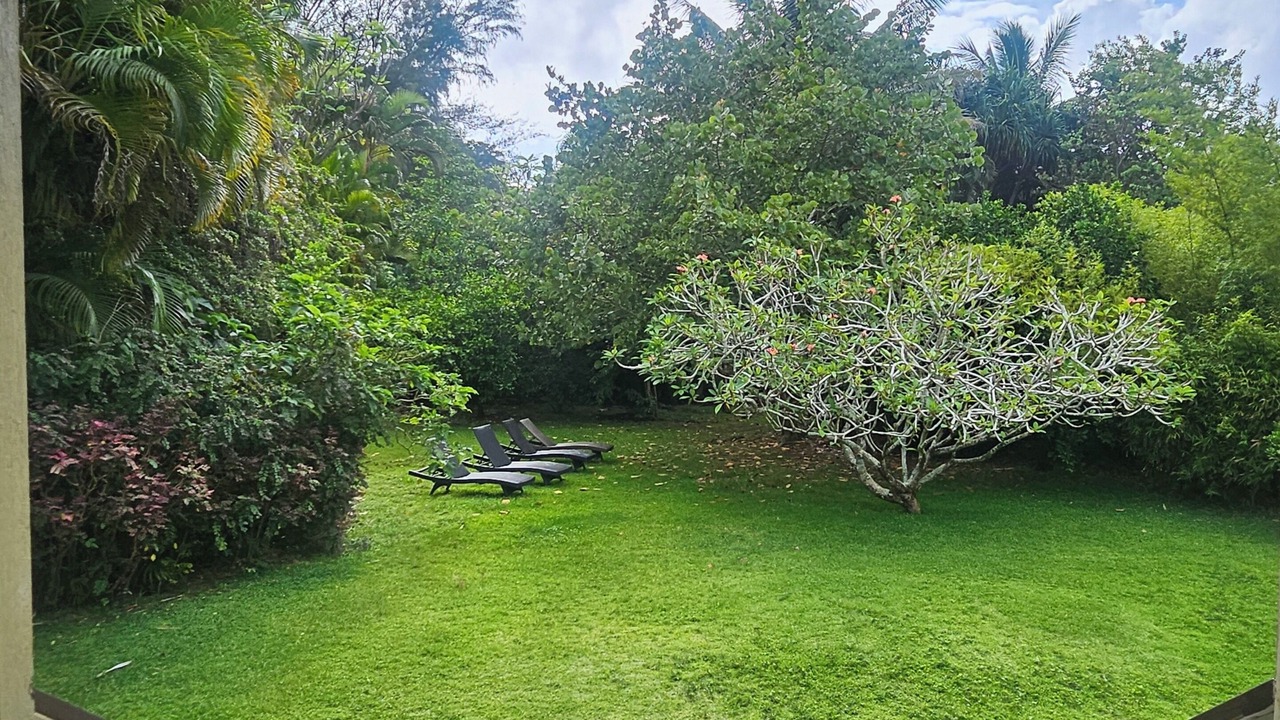 Photo of Outdoor in Kilauea