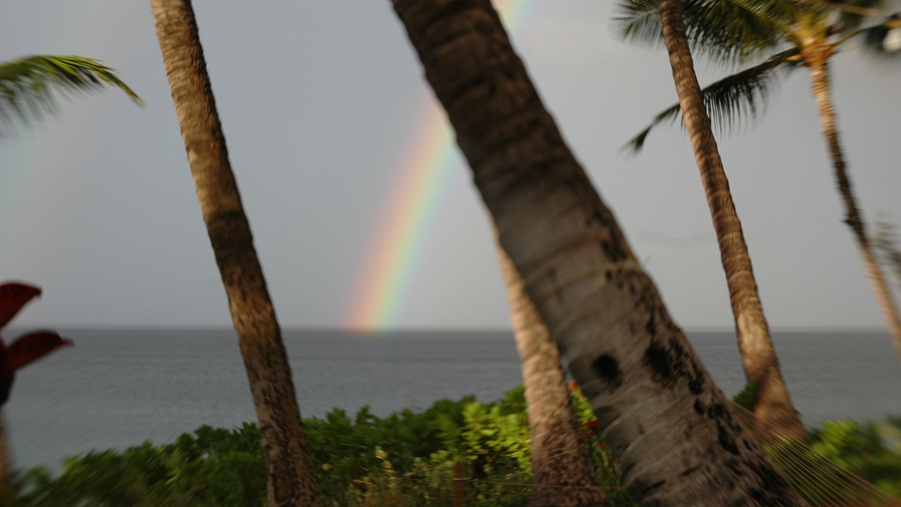 Photo of Others in Kihei