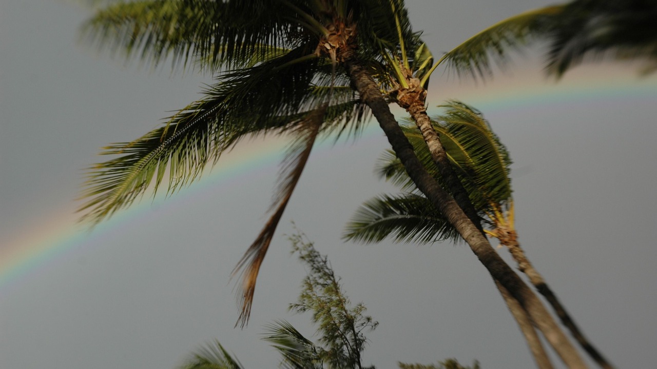 Photo of Outdoor in Kihei