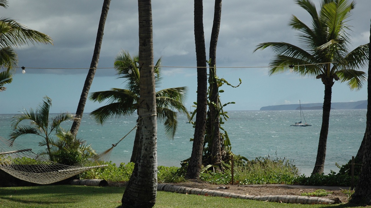 Photo of Others in Kihei