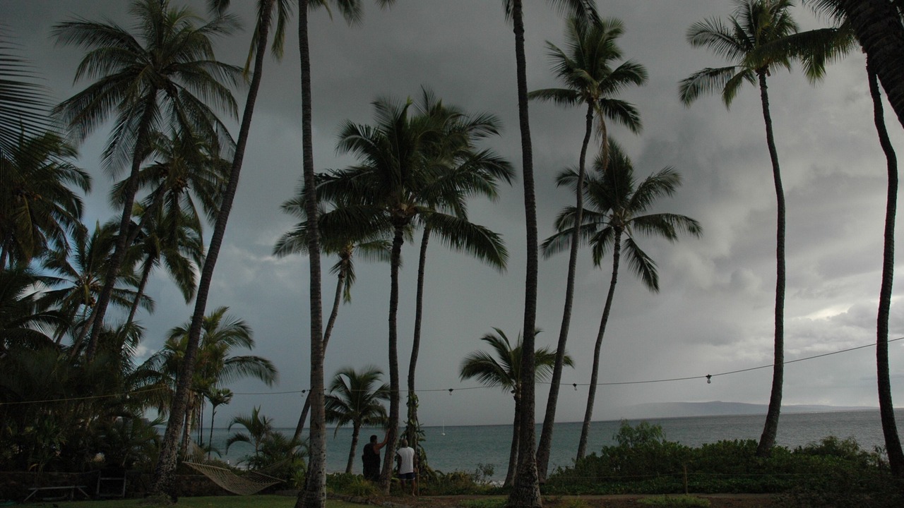 Photo of Others in Kihei