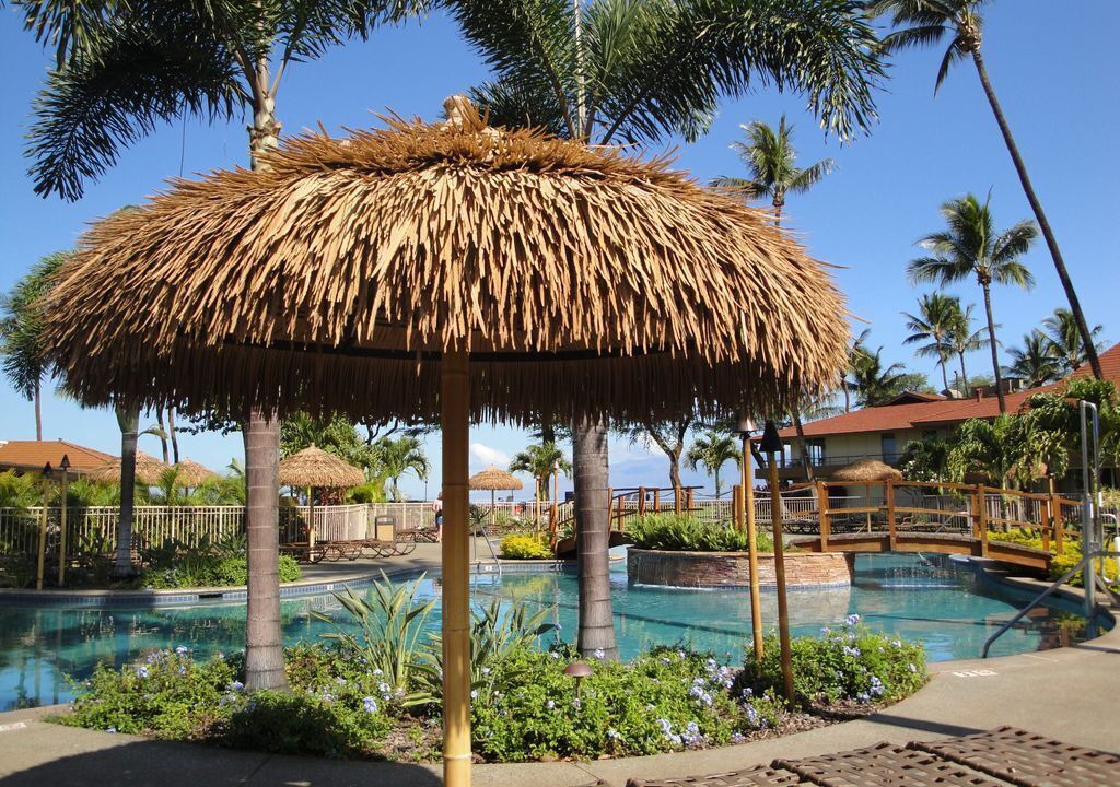 Photo of Others in Kaanapali
