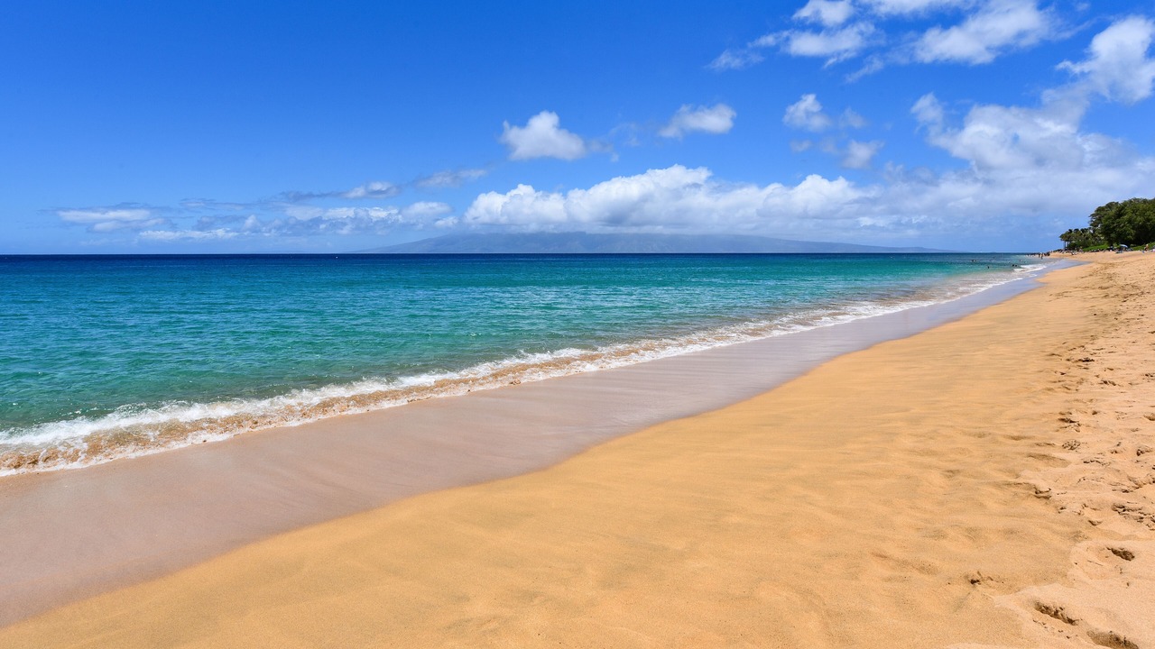Photo of Others in Kaanapali
