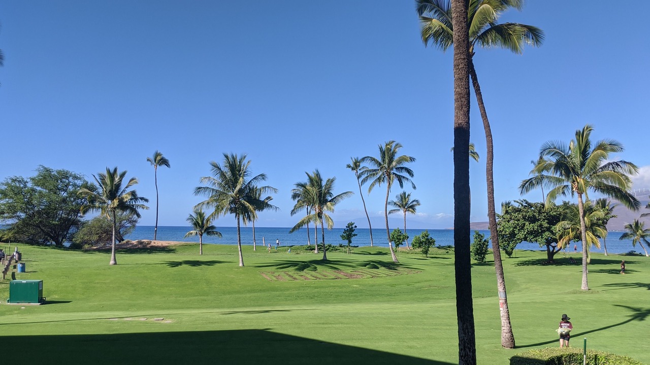 Photo of Others in Kihei