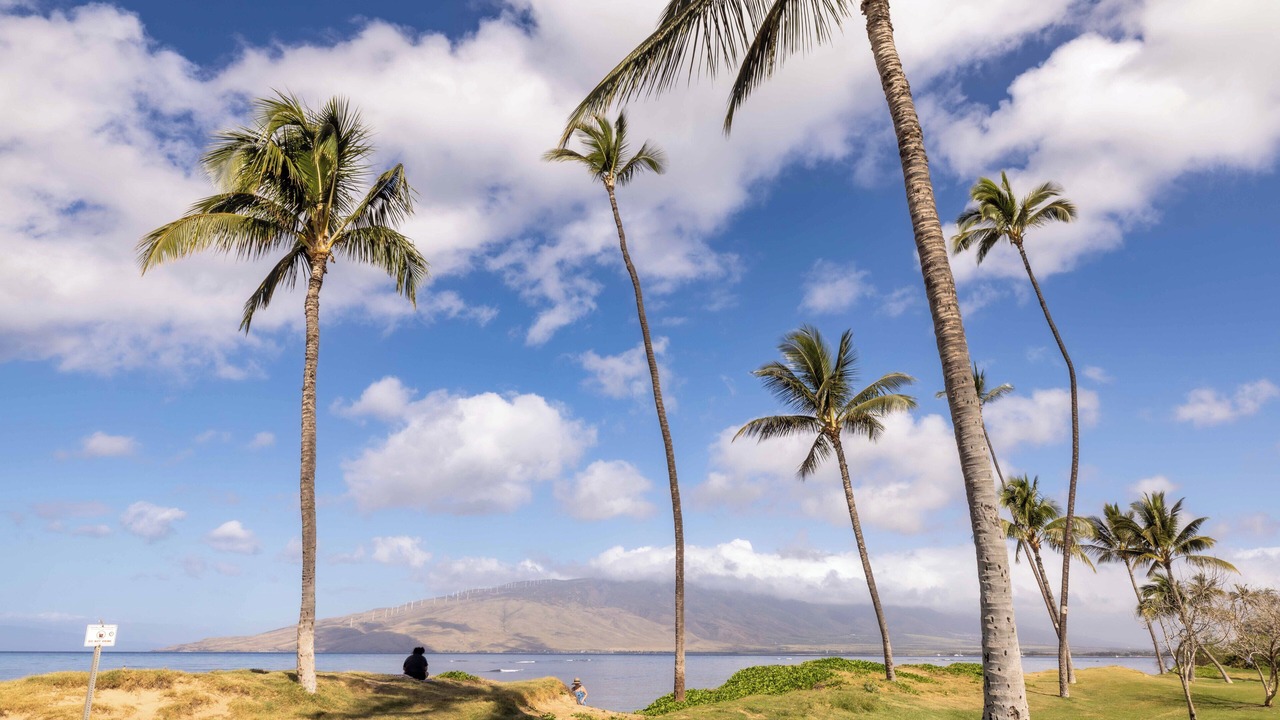 Photo of Others in Kihei