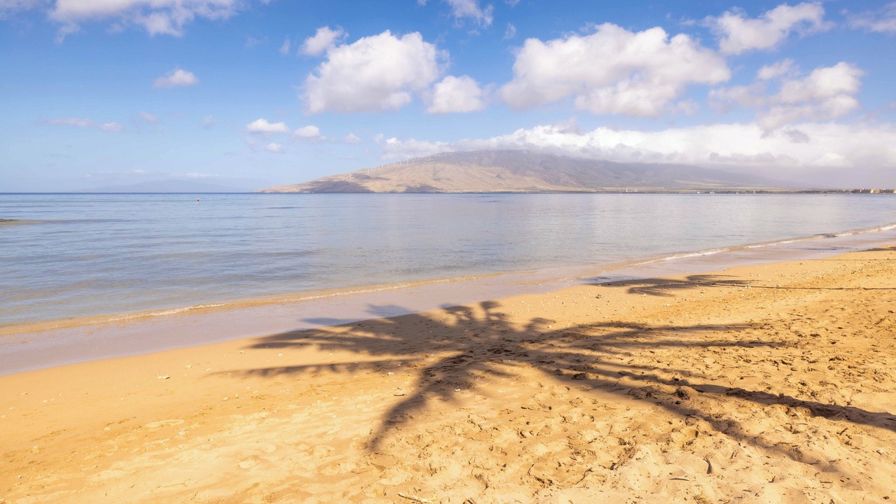 Photo of Others in Kihei