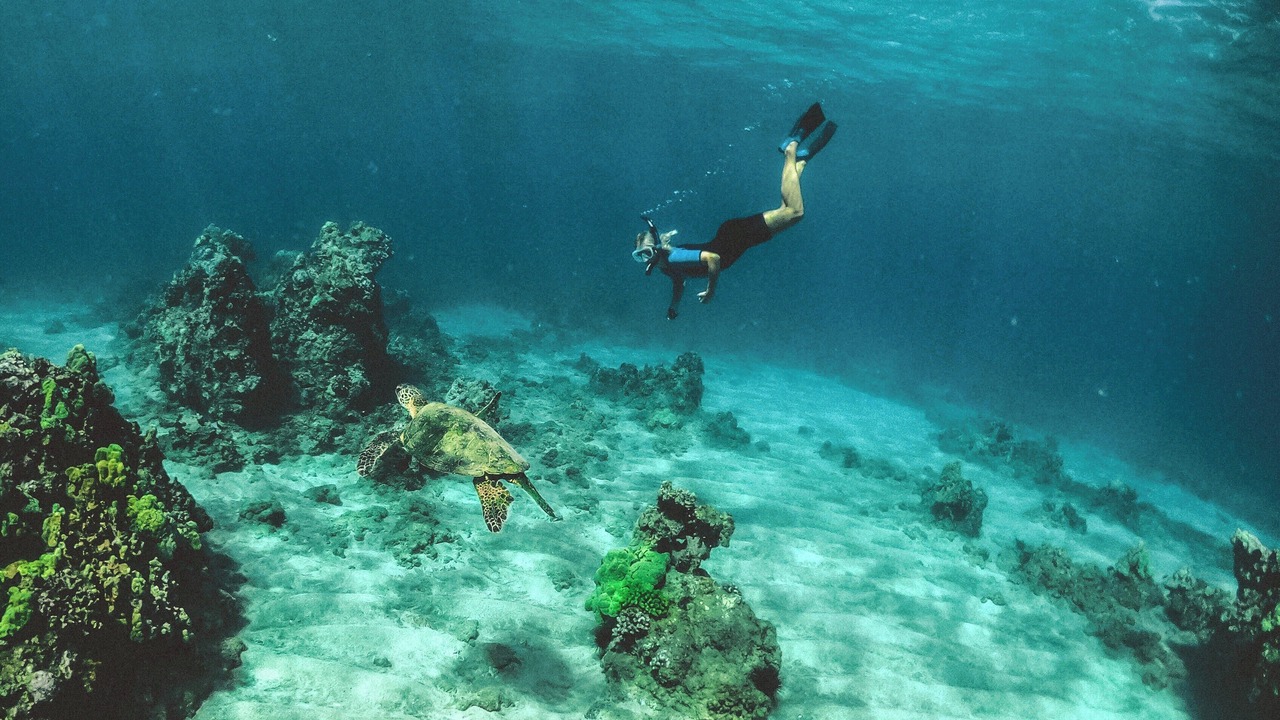 Photo of Others in Kihei