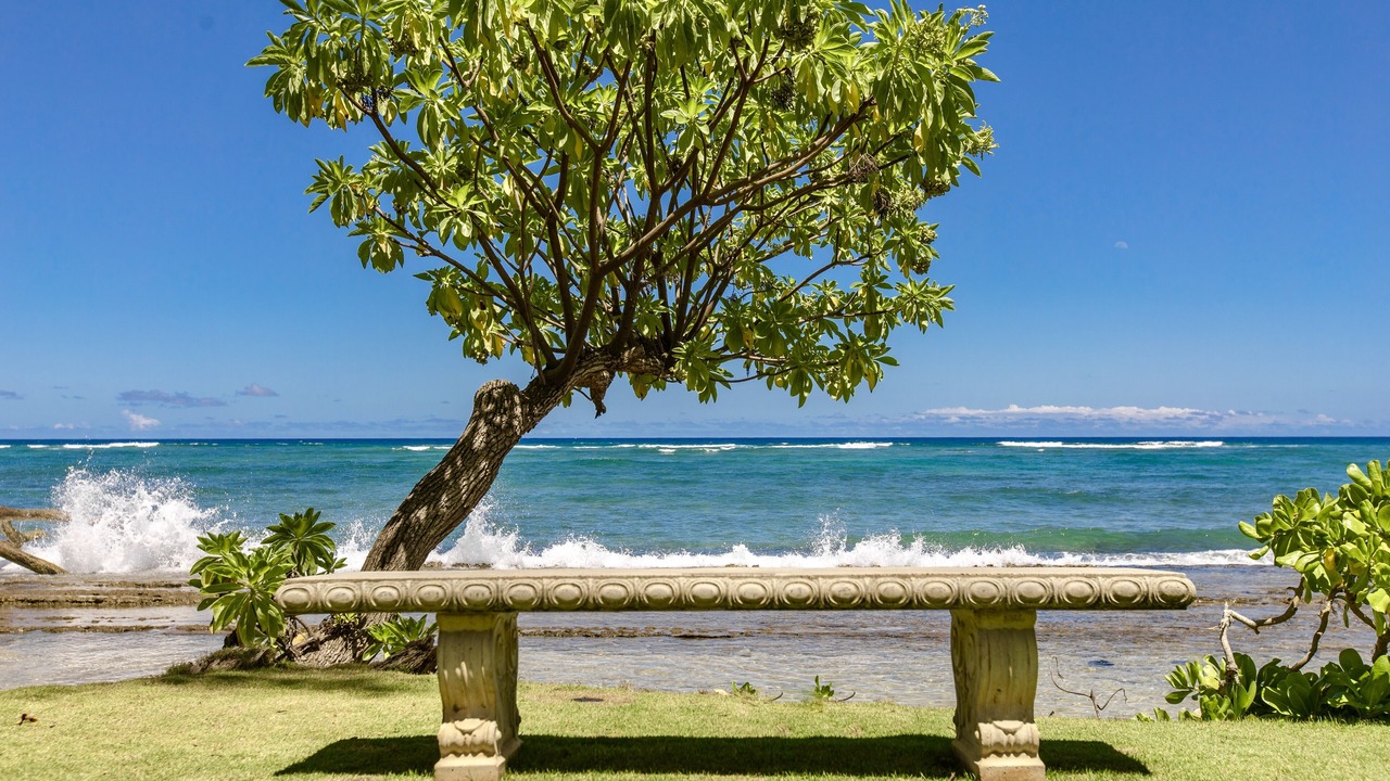 Photo of Others in Wailua