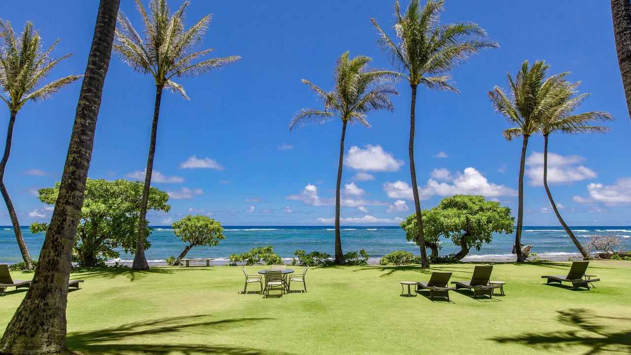 Photo of Others in Wailua