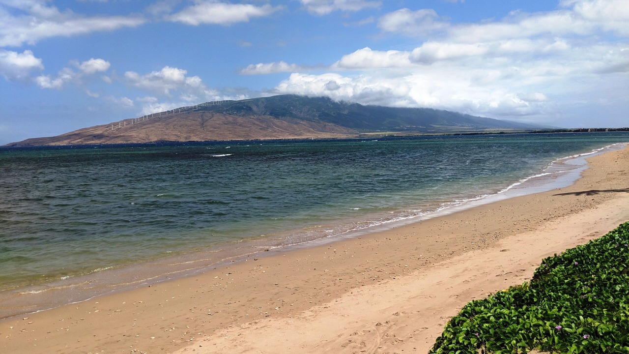 Photo of Others in Kihei