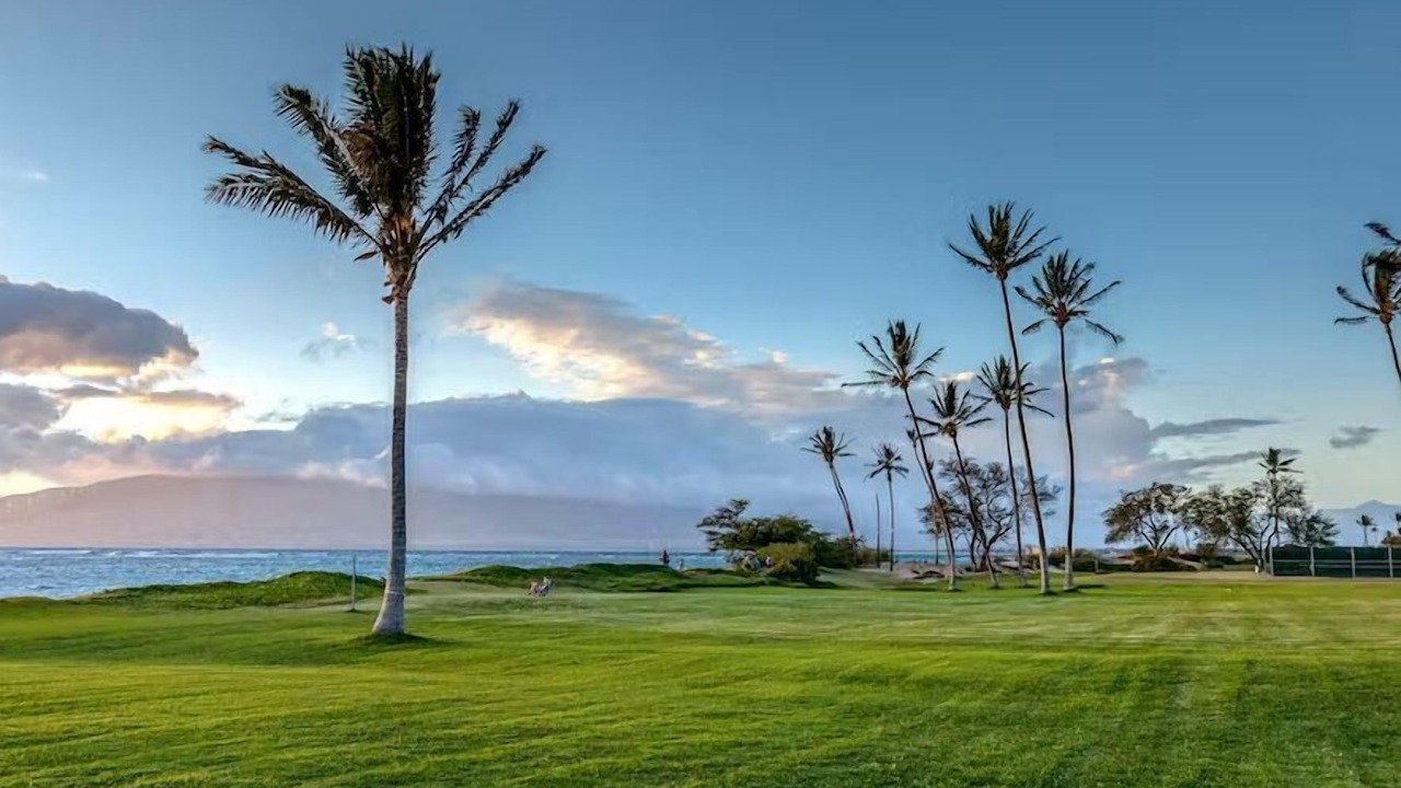 Photo of Others in Kihei