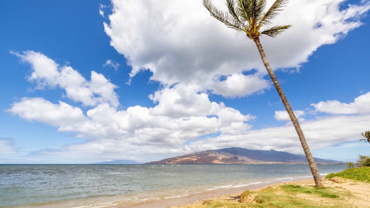 Photo of Others in Kihei