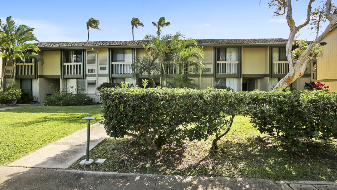 Photo of Outdoor in Kahuku