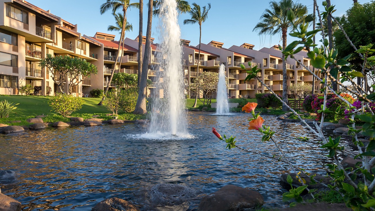 Photo of Others in Kihei