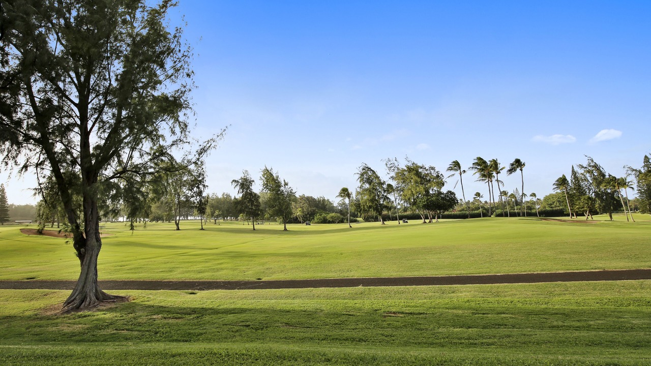 Photo of Others in Kahuku
