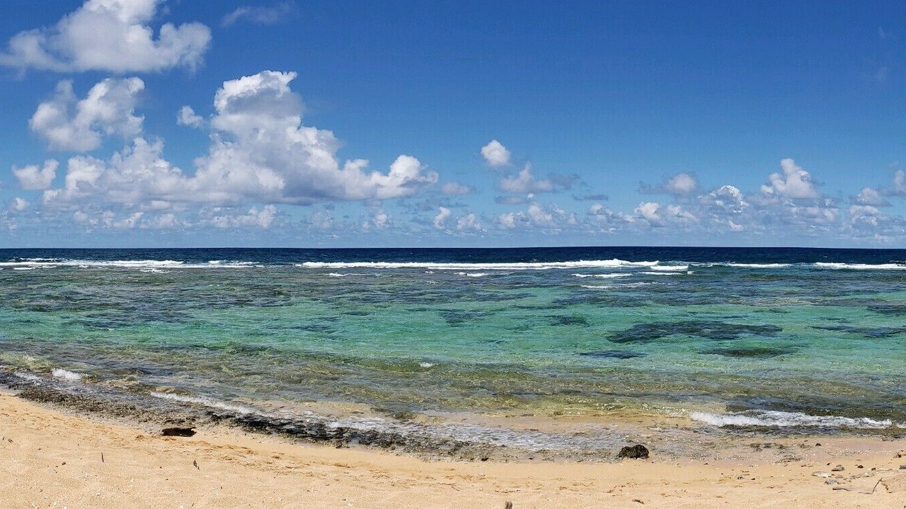 Photo of Others in Princeville