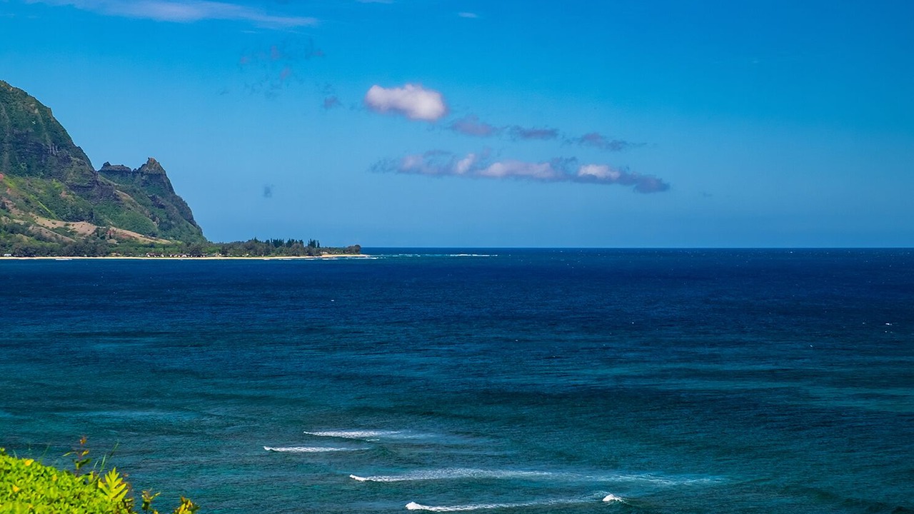 Photo of Others in Princeville