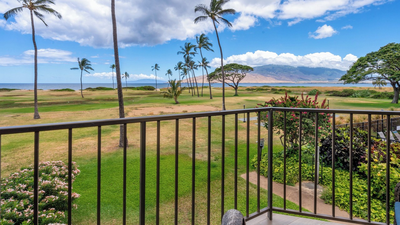 Photo of Others in Kihei