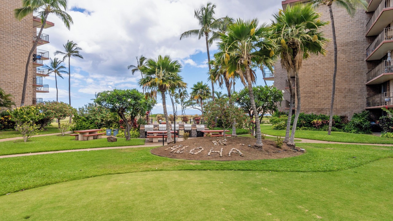 Photo of Others in Kihei
