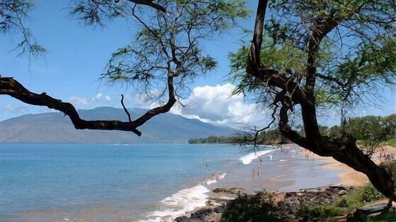 Photo of Others in Kihei