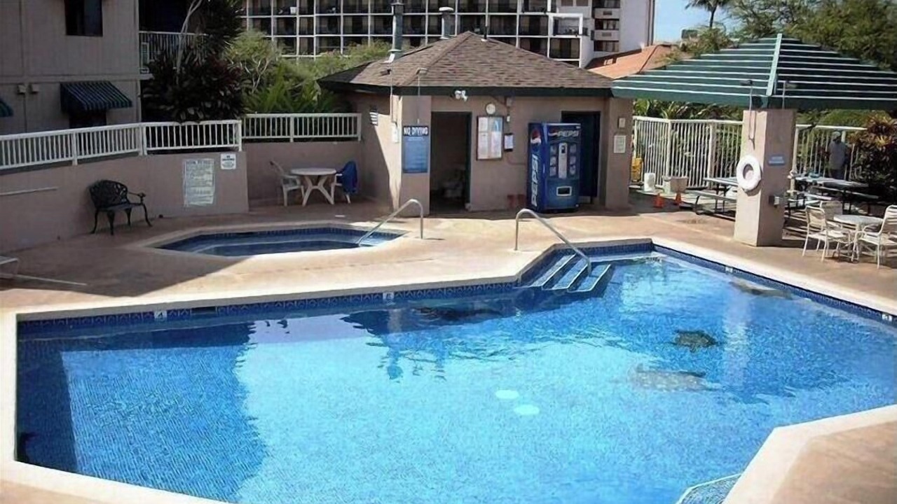 Photo of Outdoor in Kihei