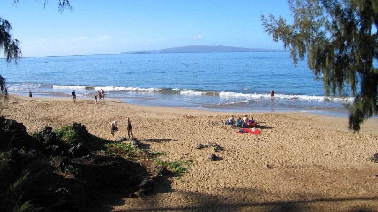 Photo of Others in Kihei