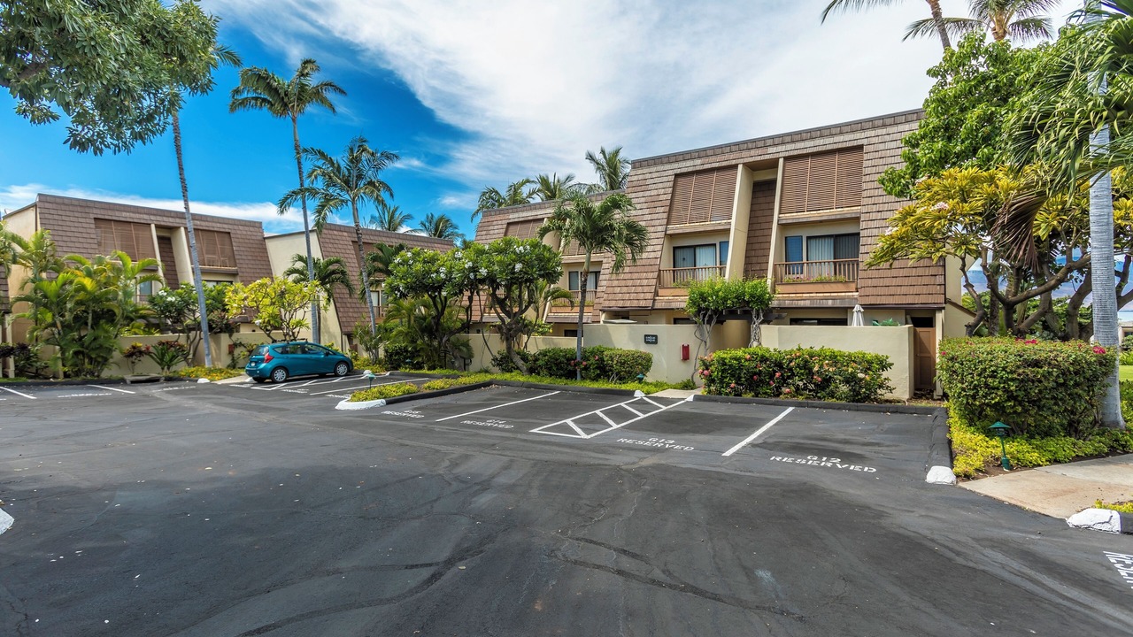 Photo of Outdoor in Kihei