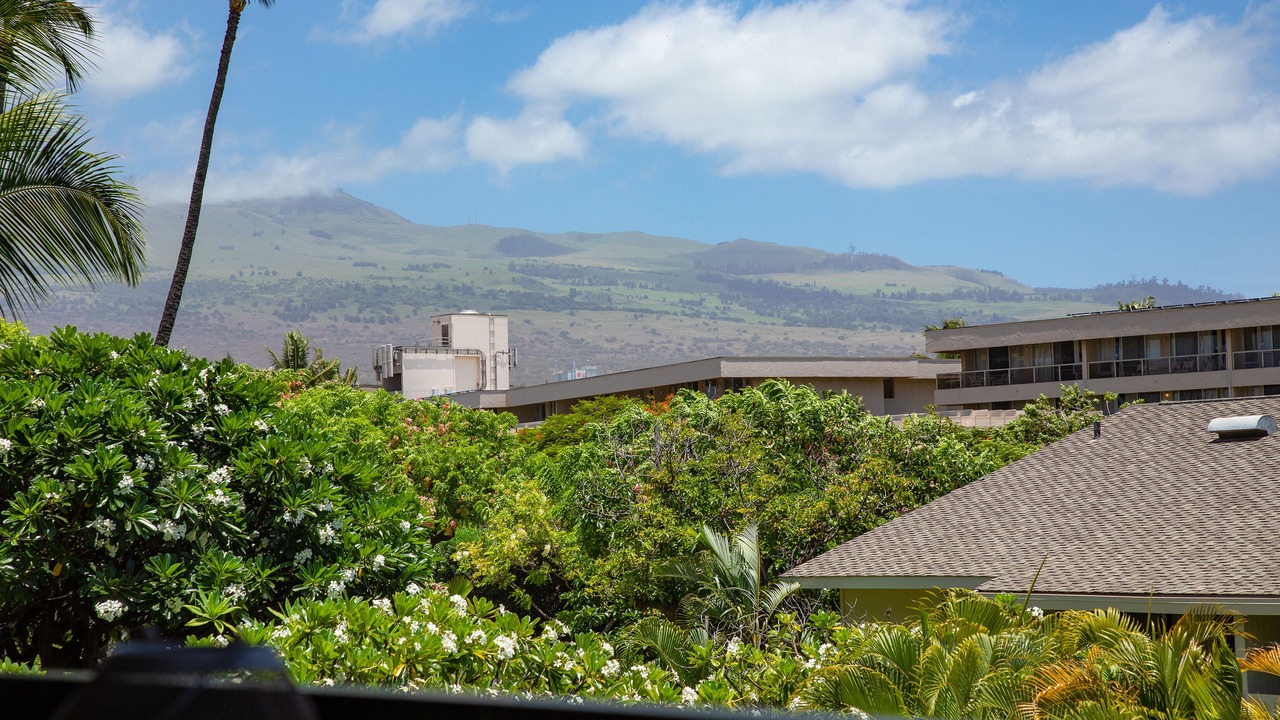 Photo of Outdoor in Kihei