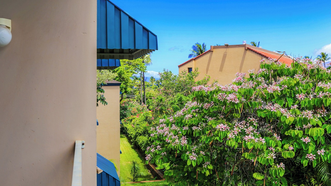 Photo of Outdoor in Kihei