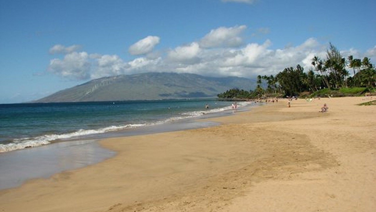 Photo of Others in Kihei