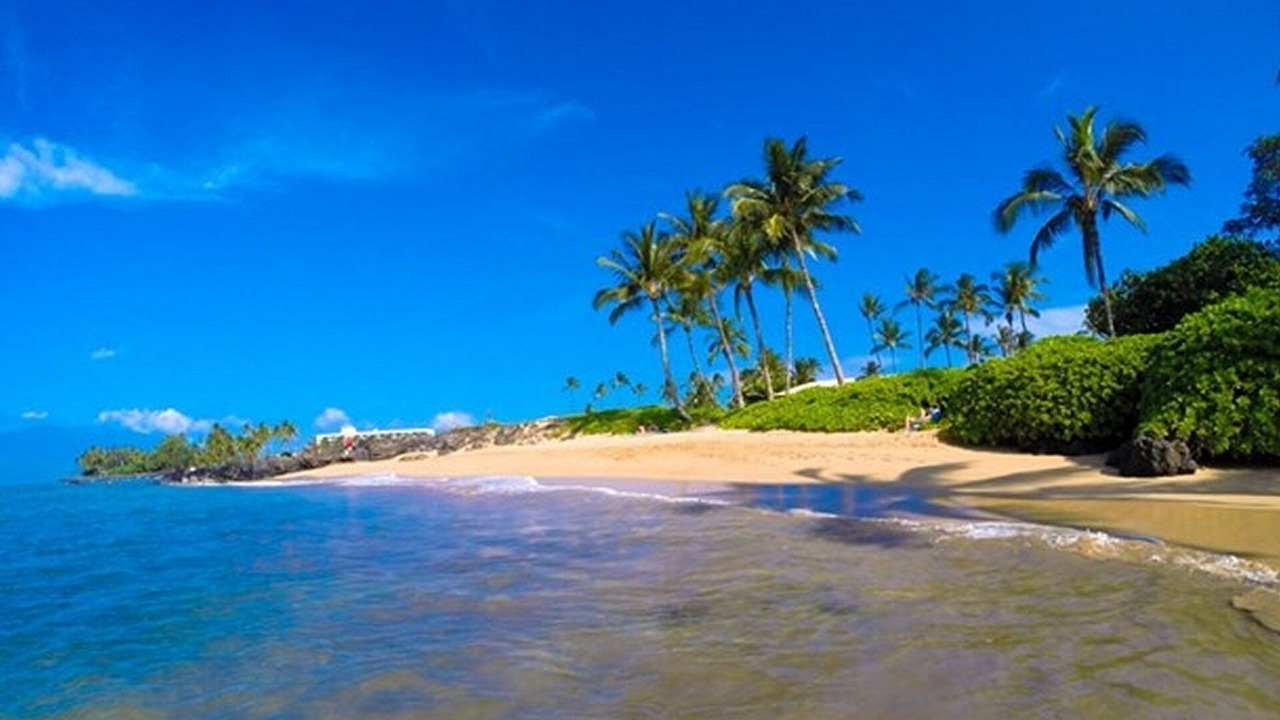 Photo of Others in Kihei