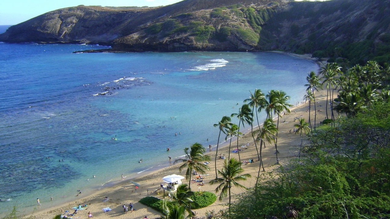 Photo of Others in Waikiki