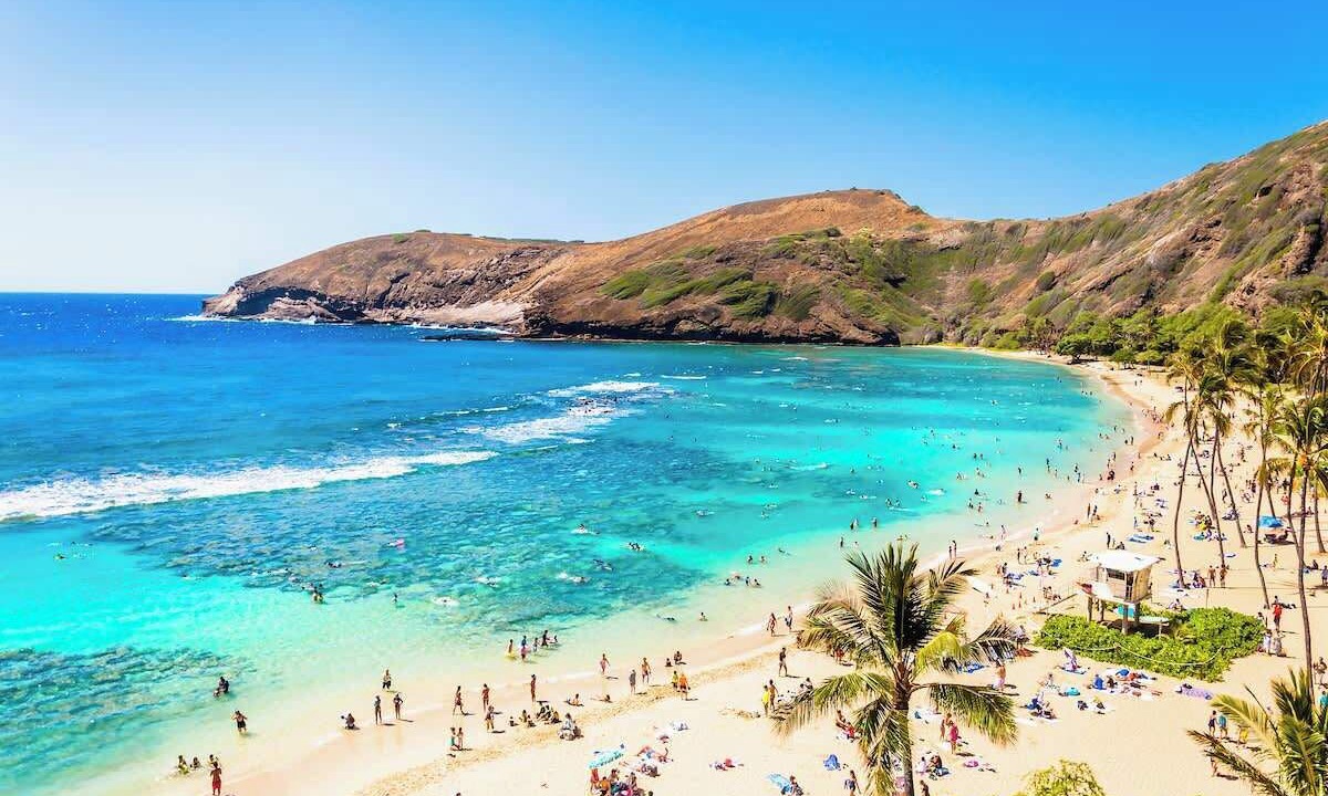 Photo of Others in Waikiki