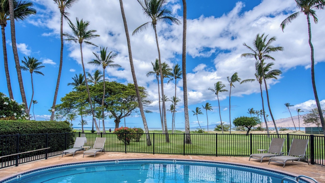 Photo of Others in Kihei