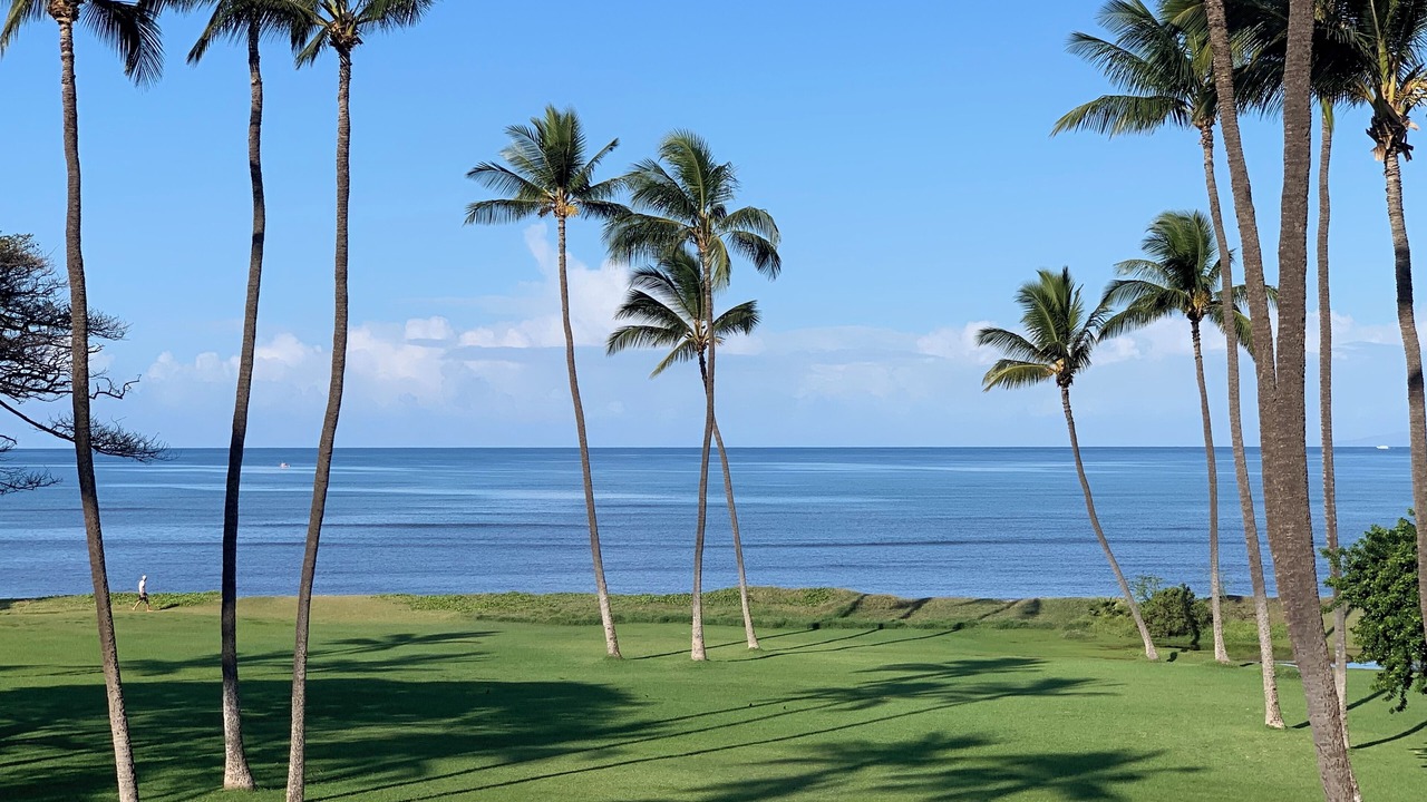 Photo of Others in Kihei