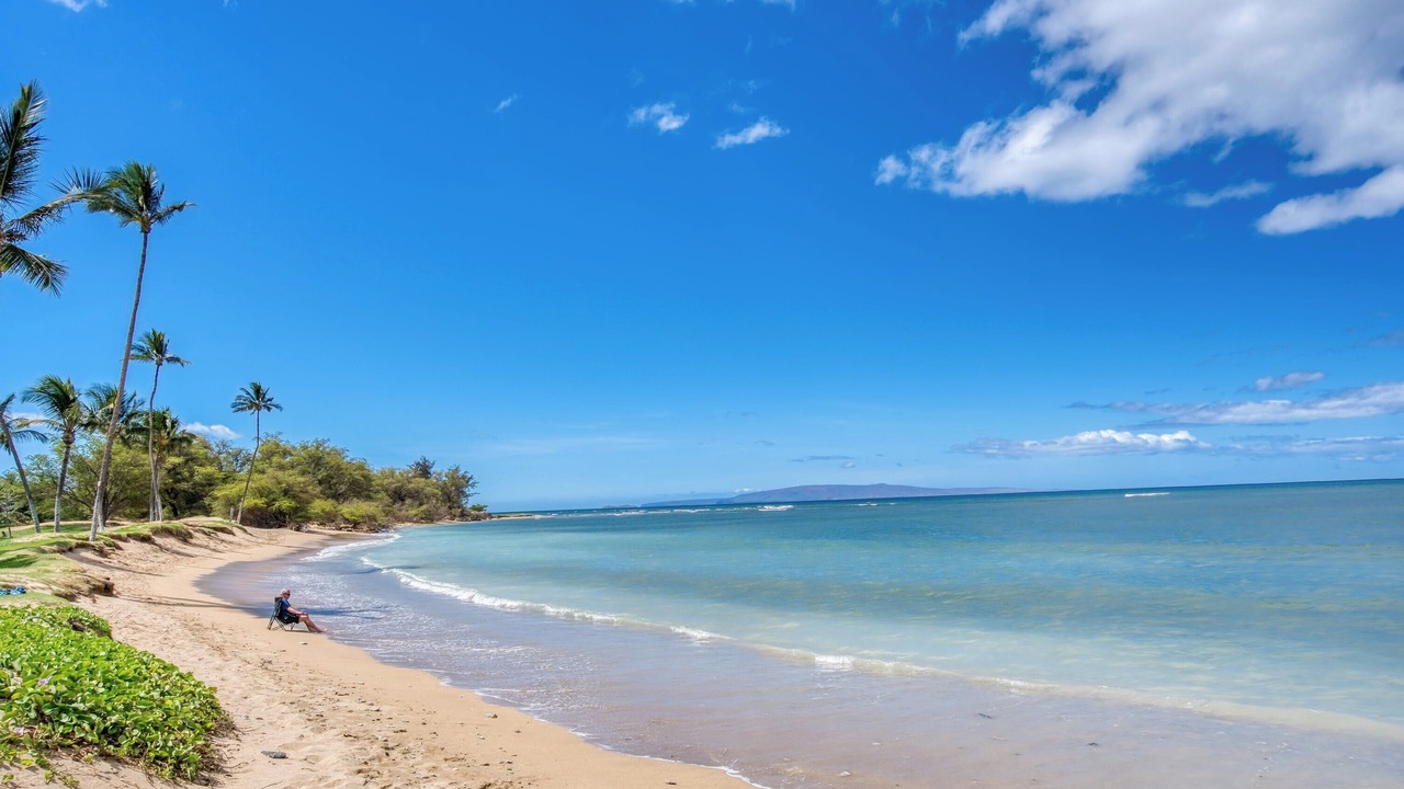 Photo of Others in Kihei