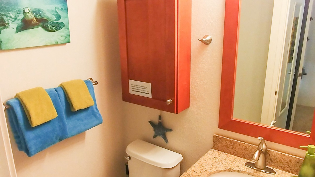 Photo of Bathroom in Kihei