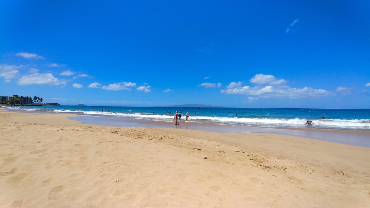 Photo of Others in Kihei