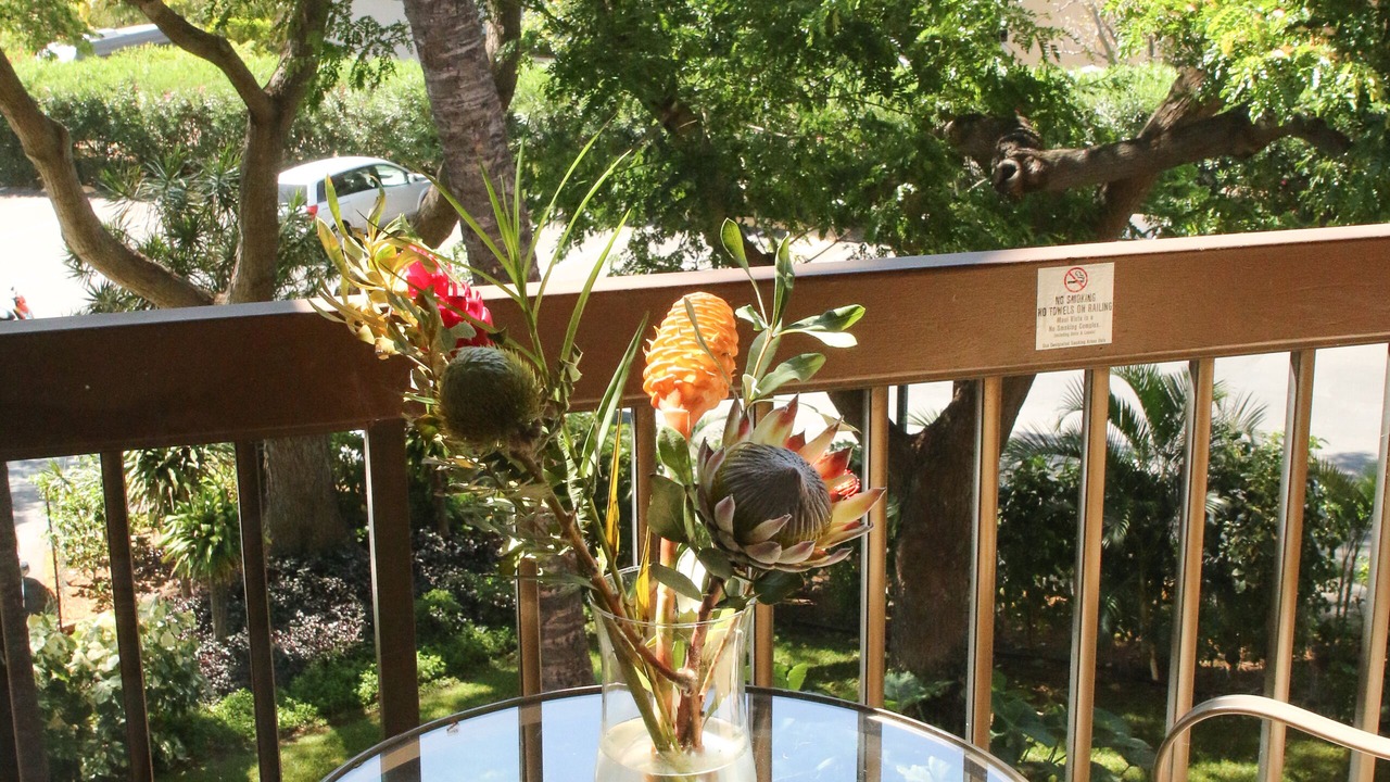 Photo of Outdoor in Kihei