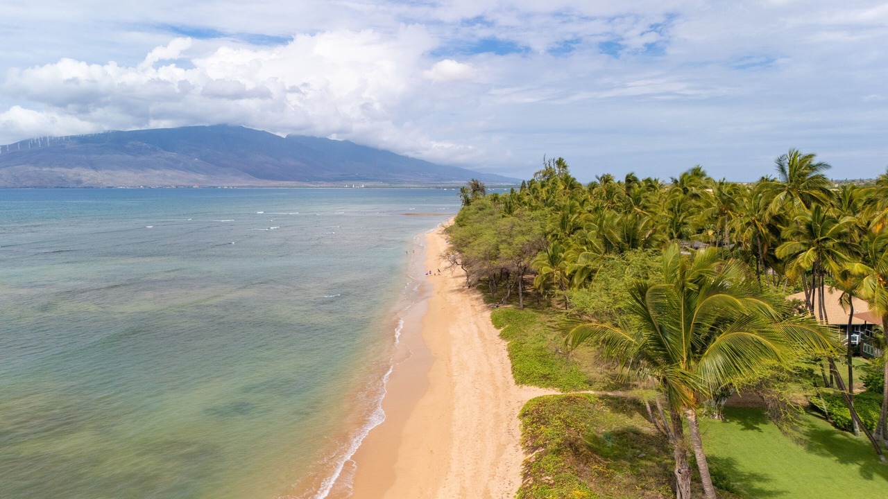 Photo of Others in Kihei