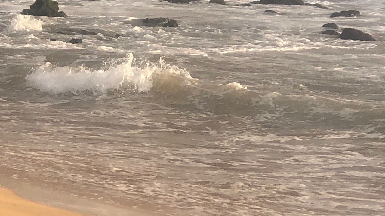 Photo of Others in Kihei