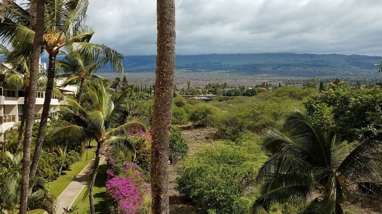 Photo of Outdoor in Kihei