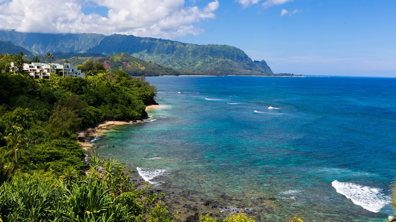 Photo of Others in Princeville
