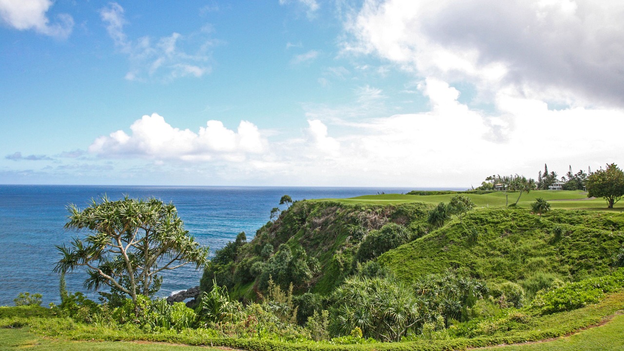 Photo of Others in Princeville