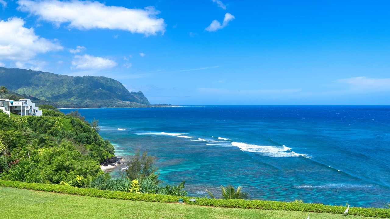 Photo of Others in Princeville