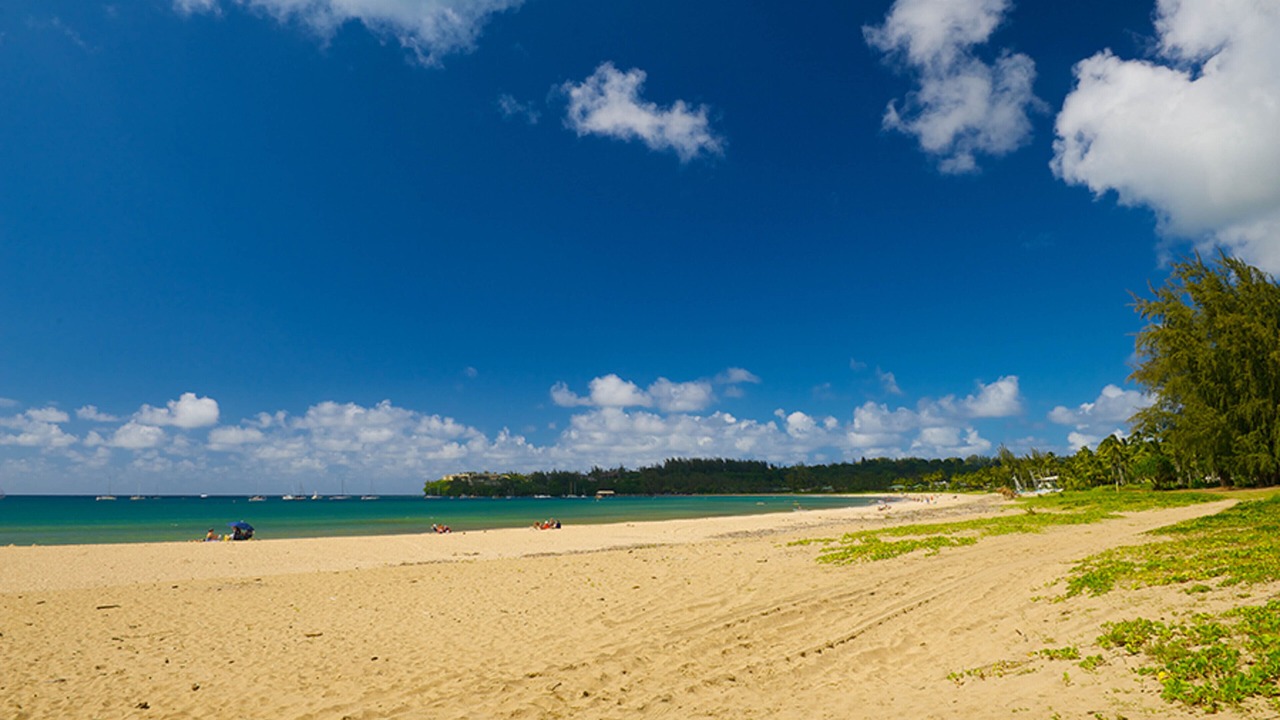 Photo of Others in Princeville