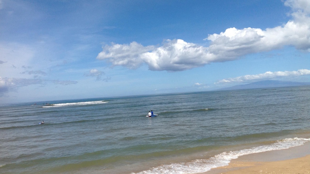 Photo of Others in Kihei